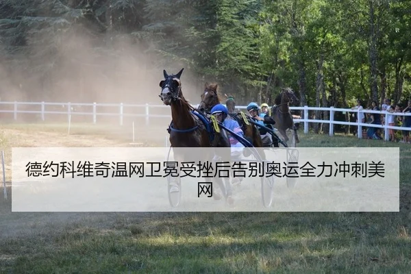 德约科维奇温网卫冕受挫后告别奥运全力冲刺美网